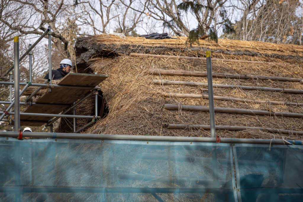 八王子千人同心組頭の家茅葺き屋根の修繕｜江戸東京たてもの園
