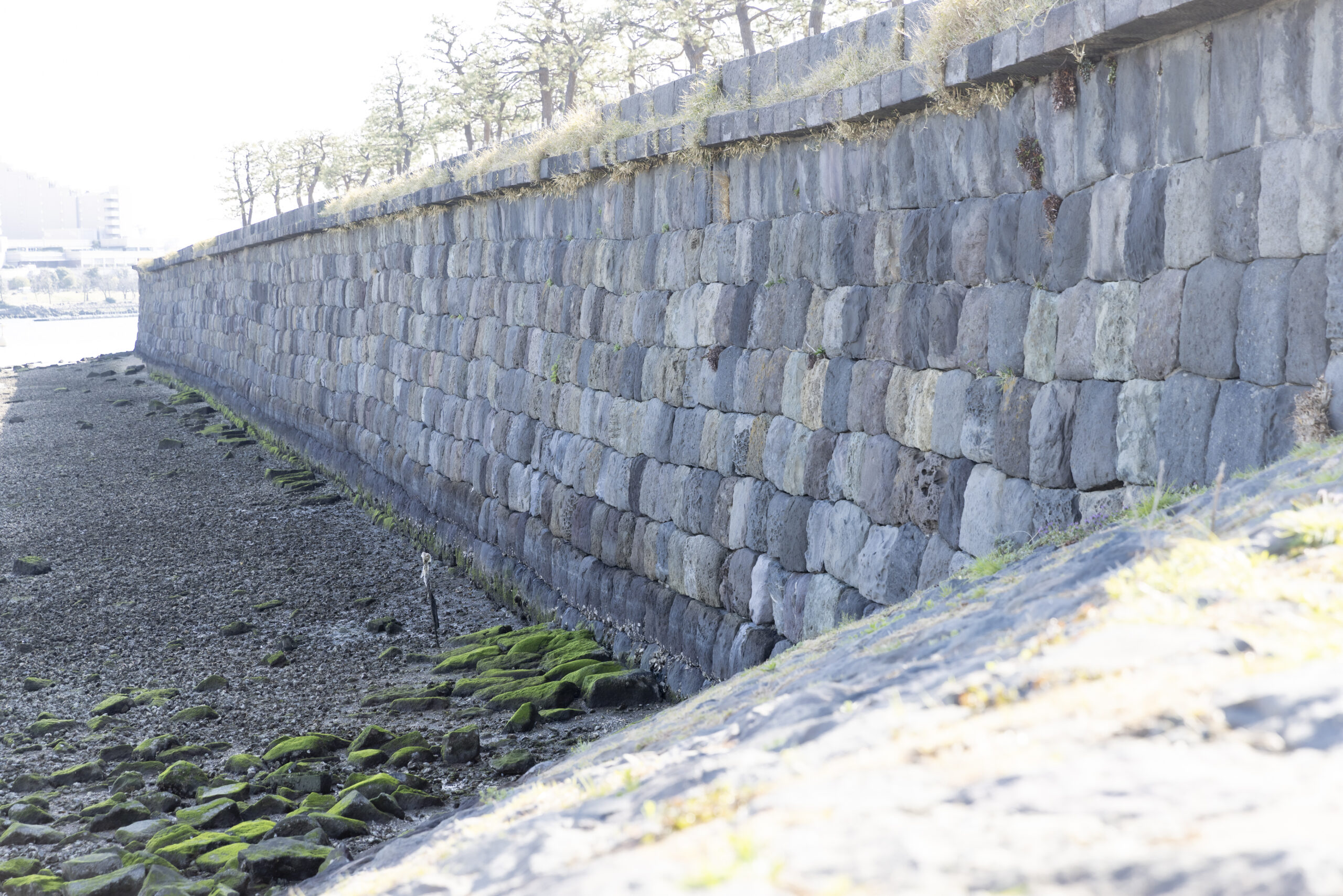 台場公園（第三台場）