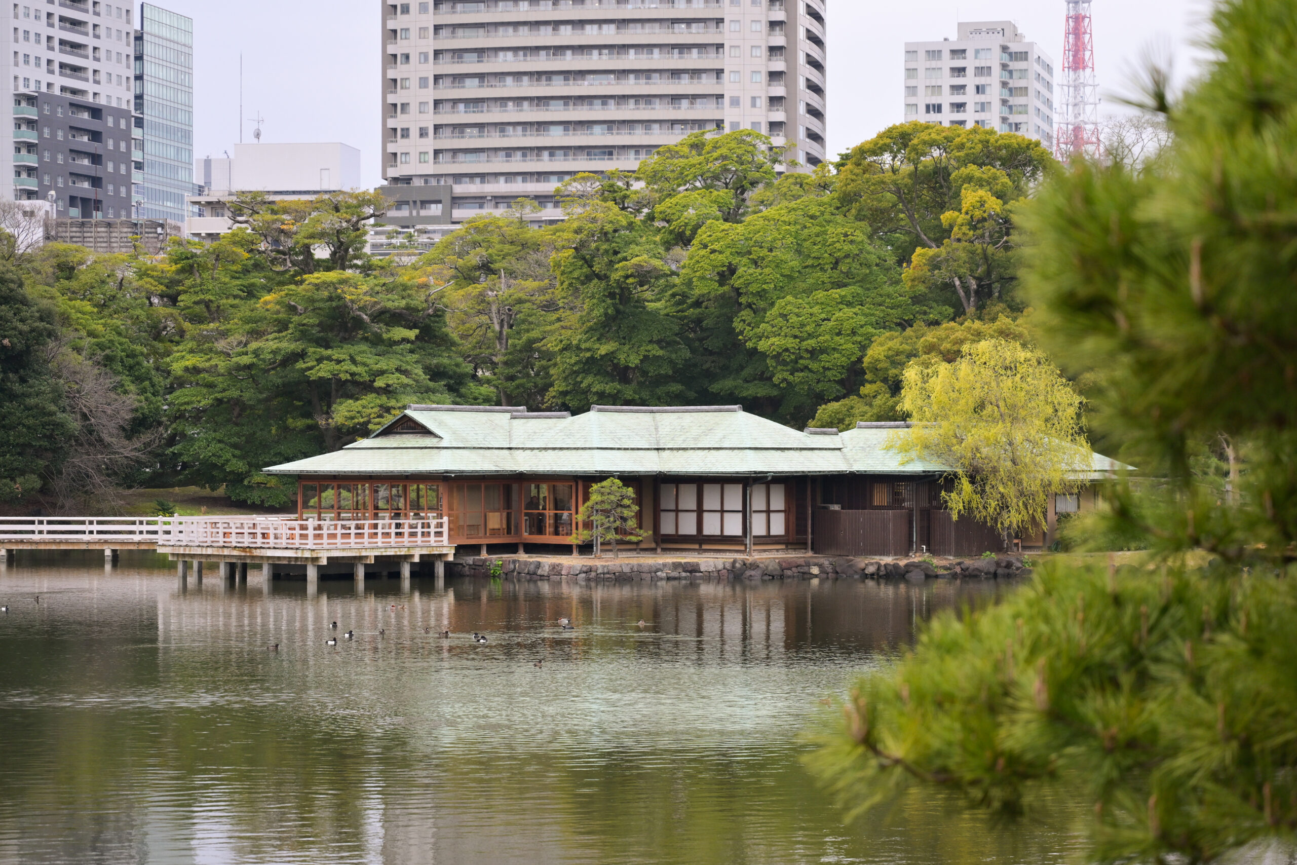 浜離宮恩賜庭園