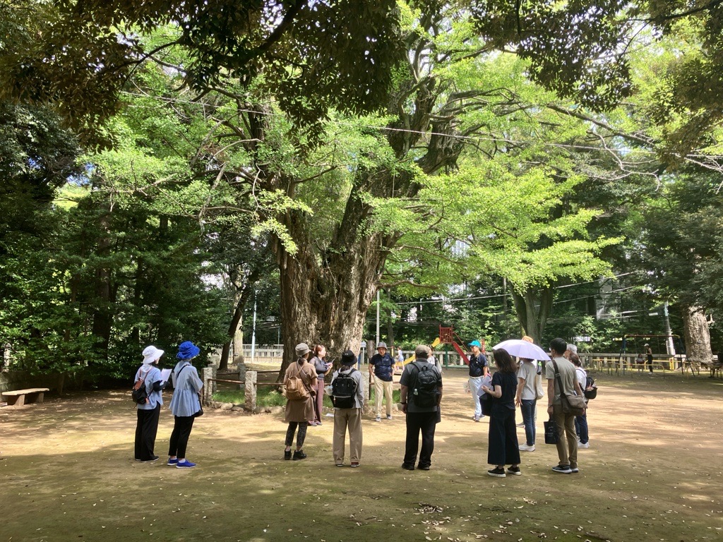 「第三回 まち歩きツアー「文化」を開催しました